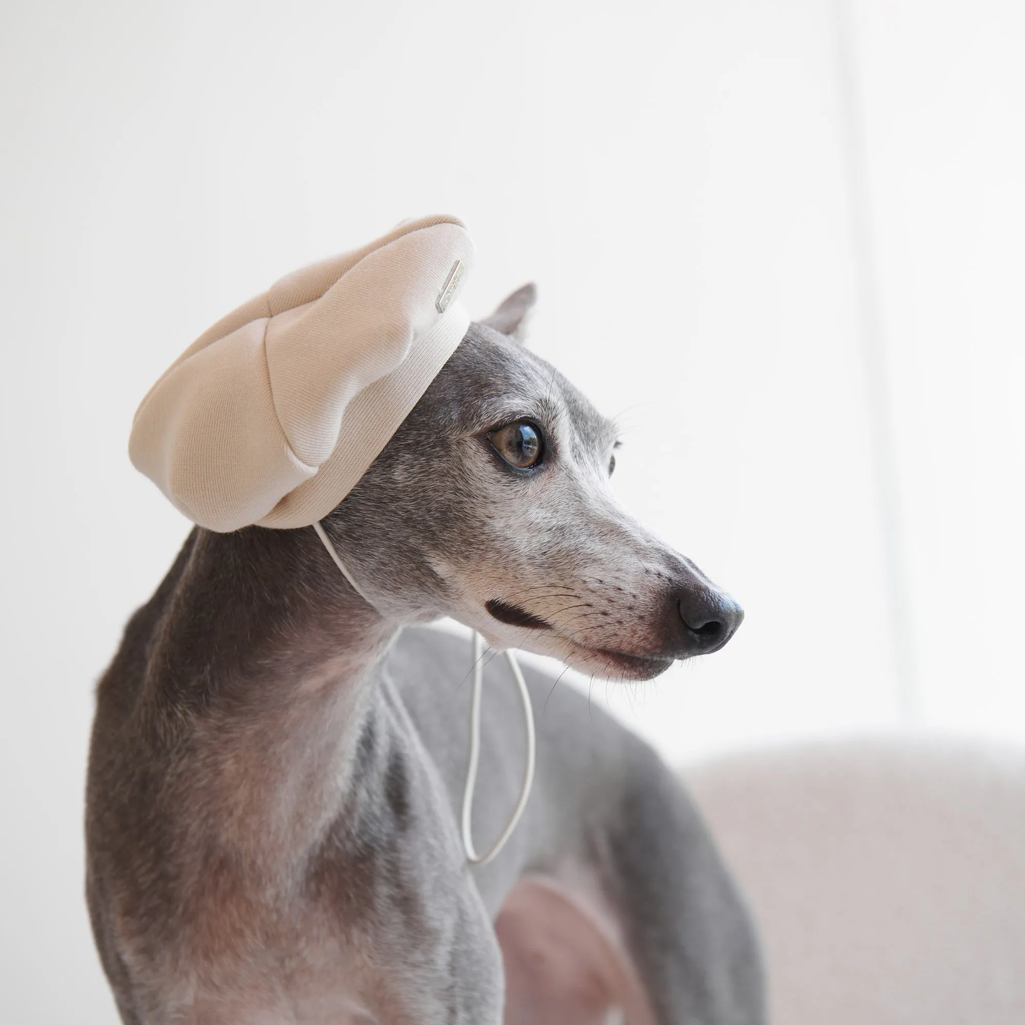 Beret with Metal Buckle