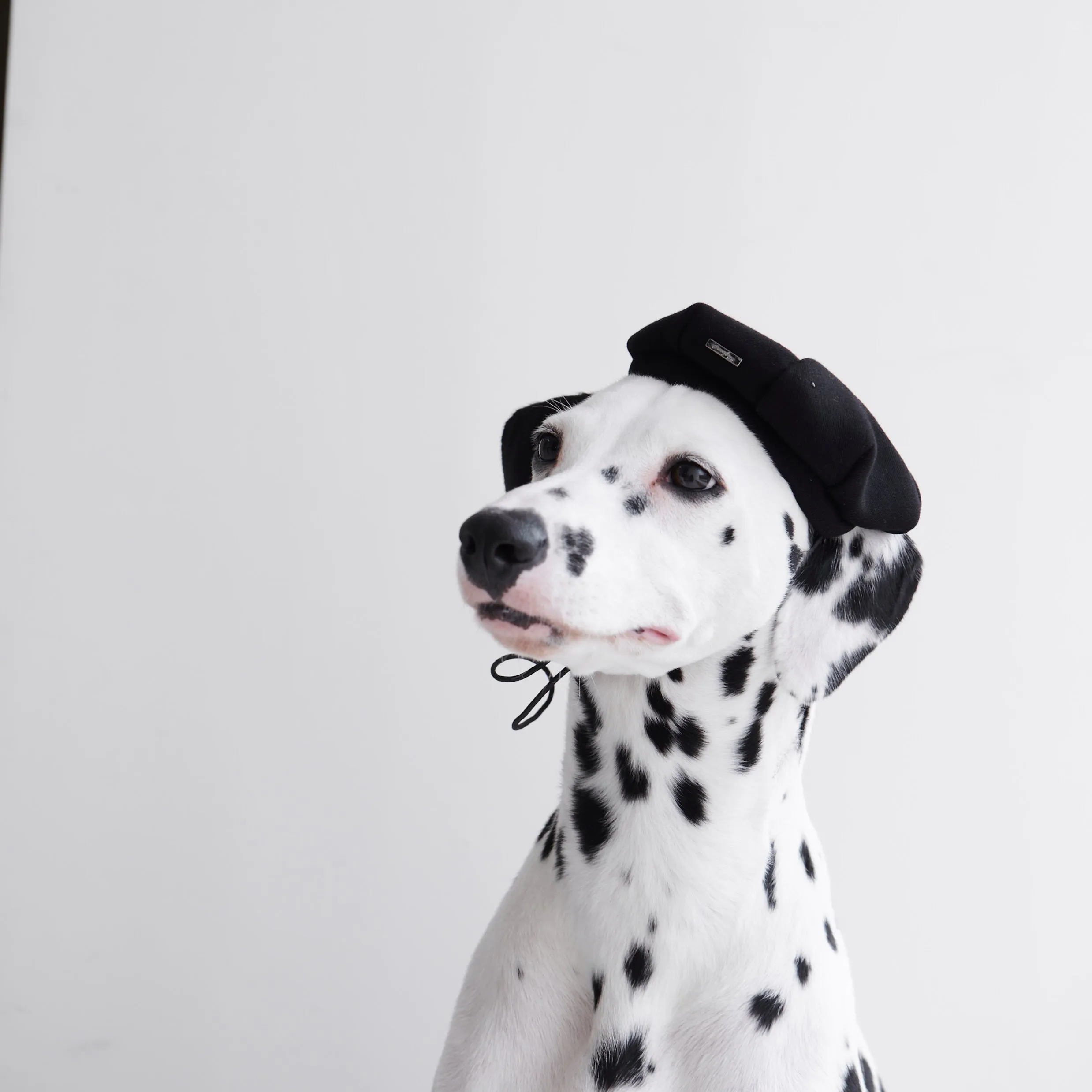 Beret with Metal Buckle