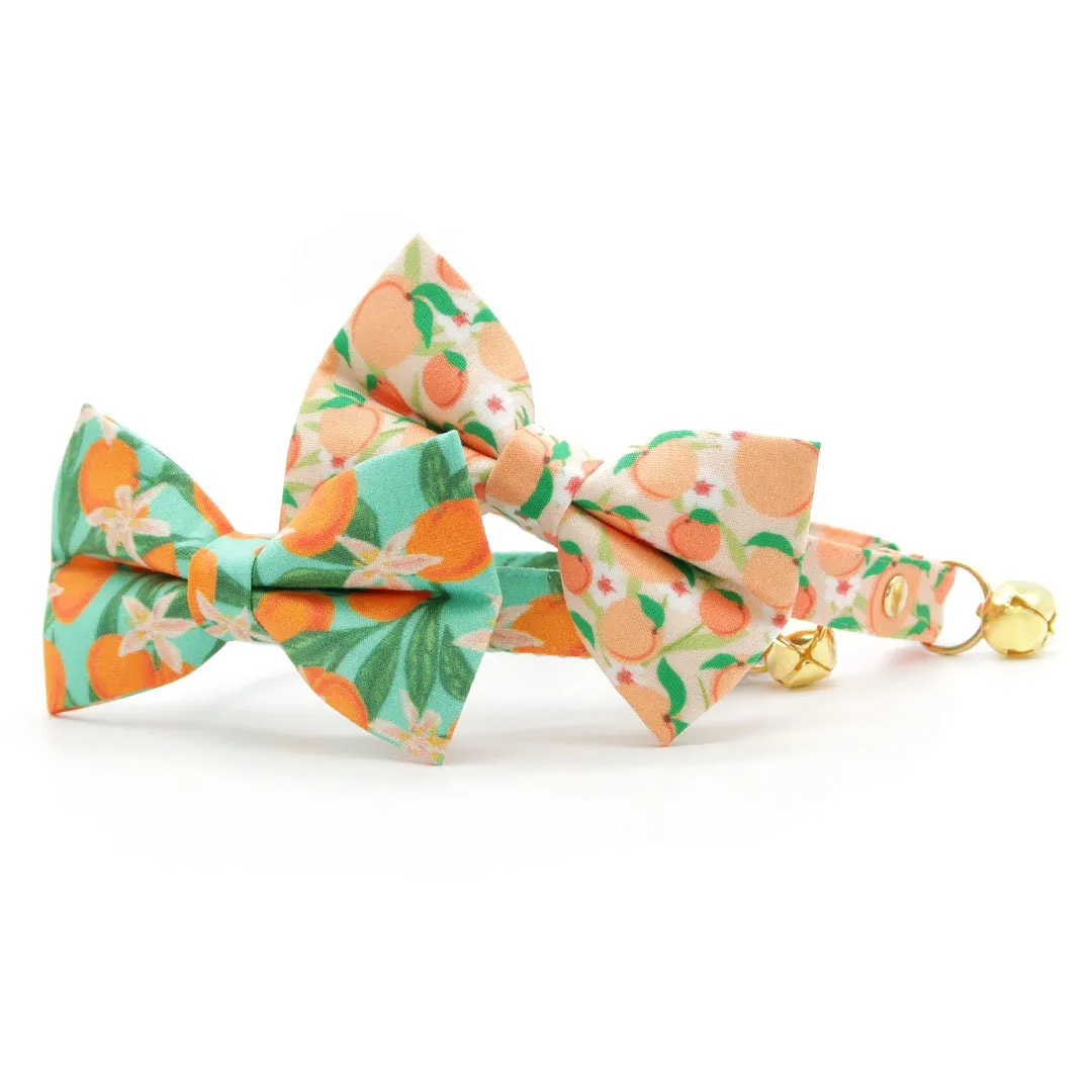Pet Bow Tie - "Clementine Blossom" - Mint Green & Orange Citrus Cat Bow Tie / Spring, Summer, Tangerine, Tropical / For Cats   Small Dogs (One Size)