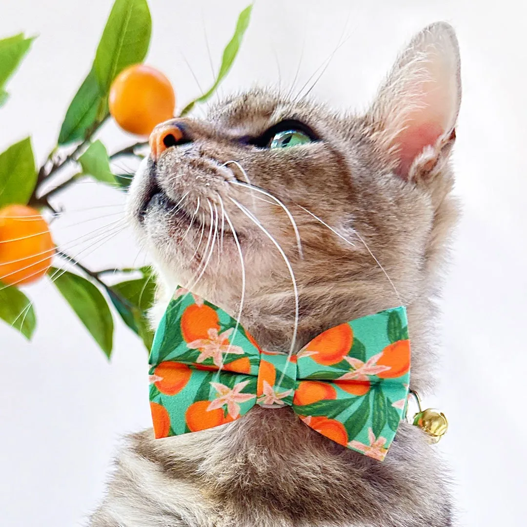 Pet Bow Tie - "Clementine Blossom" - Mint Green & Orange Citrus Cat Bow Tie / Spring, Summer, Tangerine, Tropical / For Cats   Small Dogs (One Size)
