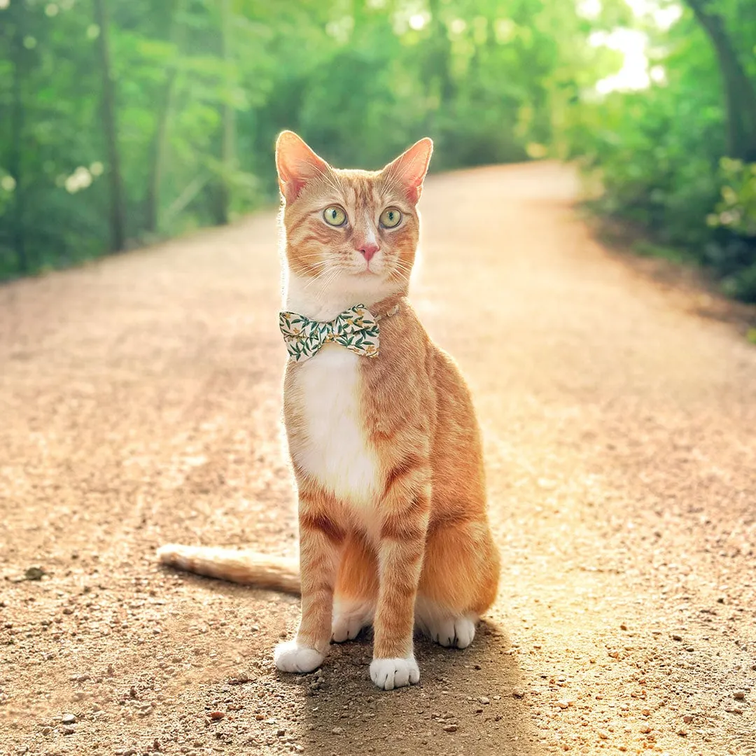 Pet Bow Tie - "Golden Vine" - Rifle Paper Co® Green Leaf Cat Bow / Summer, Fall, Forest, Garden / For Cats   Small Dogs (One Size)