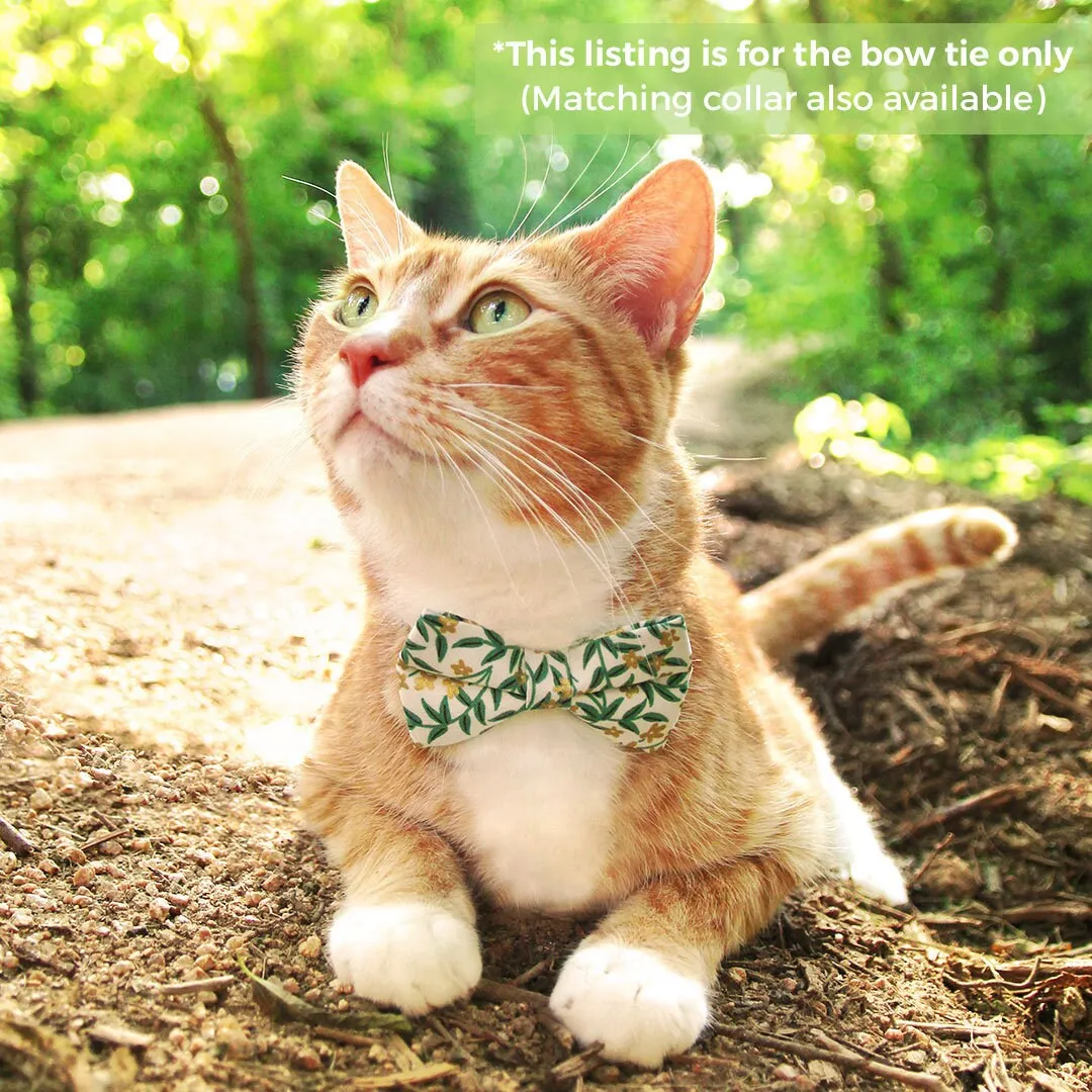 Pet Bow Tie - "Golden Vine" - Rifle Paper Co® Green Leaf Cat Bow / Summer, Fall, Forest, Garden / For Cats   Small Dogs (One Size)