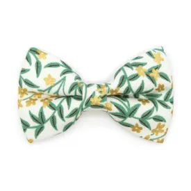 Pet Bow Tie - "Golden Vine" - Rifle Paper Co® Green Leaf Cat Bow / Summer, Fall, Forest, Garden / For Cats   Small Dogs (One Size)