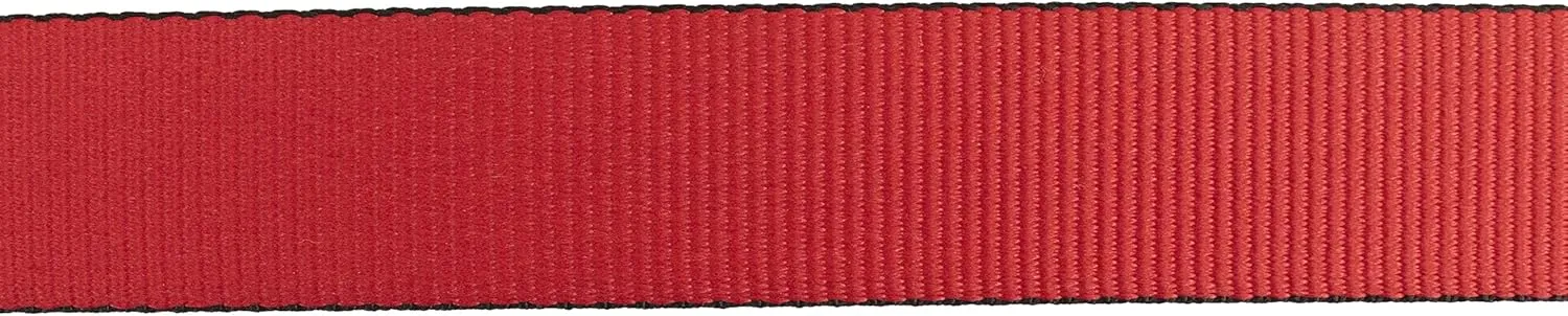 Thomas Bates Dakota Web Belt